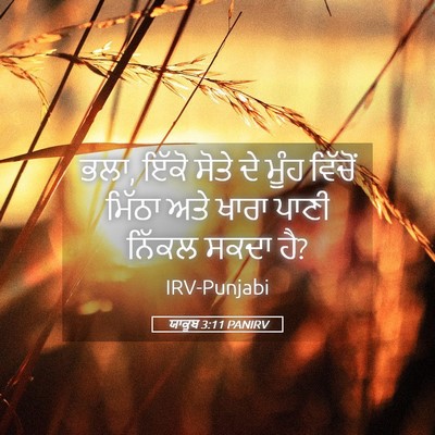 Picture 05 - ਯਾਕੂਬ 3:11 PANIRV - ਭਲਾ, ਇੱਕੋ ਸੋਤੇ ਦੇ - Bible Verse Picture