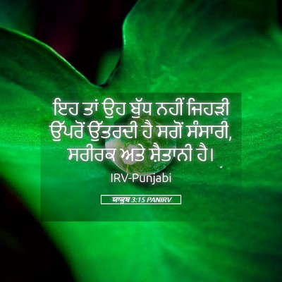 Picture 05 - ਯਾਕੂਬ 3:15 PANIRV - ਇਹ ਤਾਂ ਉਹ ਬੁੱਧ ਨਹੀਂ - Bible Verse Picture