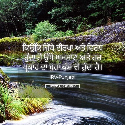 Picture 05 - ਯਾਕੂਬ 3:16 PANIRV - ਕਿਉਂਕਿ ਜਿੱਥੇ ਈਰਖਾ - Bible Verse Picture