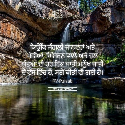 Picture 05 - ਯਾਕੂਬ 3:7 PANIRV - ਕਿਉਂਕਿ ਜੰਗਲੀ - Bible Verse Picture