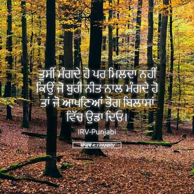 Picture 05 - ਯਾਕੂਬ 4:3 PANIRV - ਤੁਸੀਂ ਮੰਗਦੇ ਹੋ ਪਰ - Bible Verse Picture