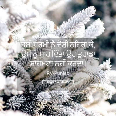 Picture 05 - ਯਾਕੂਬ 5:6 PANIRV - ਤੁਸੀਂ ਧਰਮੀ ਨੂੰ - Bible Verse Picture