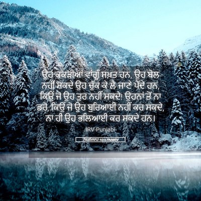 Picture 05 - ਯਿਰਮਿਯਾਹ 10:5 PANIRV - ਉਹ ਕਕੜੀਆਂ ਵਾਂਗੂੰ - Bible Verse Picture
