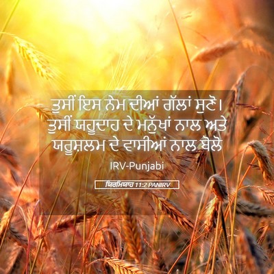 Picture 05 - ਯਿਰਮਿਯਾਹ 11:2 PANIRV - ਤੁਸੀਂ ਇਸ ਨੇਮ ਦੀਆਂ - Bible Verse Picture