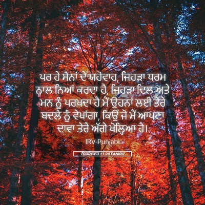 Picture 05 - ਯਿਰਮਿਯਾਹ 11:20 PANIRV - ਪਰ ਹੇ ਸੈਨਾਂ ਦੇ - Bible Verse Picture