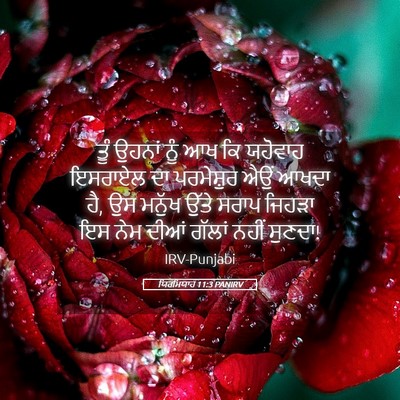 Picture 05 - ਯਿਰਮਿਯਾਹ 11:3 PANIRV - ਤੂੰ ਉਹਨਾਂ ਨੂੰ ਆਖ ਕਿ - Bible Verse Picture