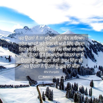 Picture 05 - ਯਿਰਮਿਯਾਹ 11:8 PANIRV - ਪਰ ਉਹਨਾਂ ਨੇ ਨਾ - Bible Verse Picture