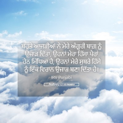 Picture 05 - ਯਿਰਮਿਯਾਹ 12:10 PANIRV - ਬਹੁਤੇ ਆਜੜੀਆਂ ਨੇ - Bible Verse Picture