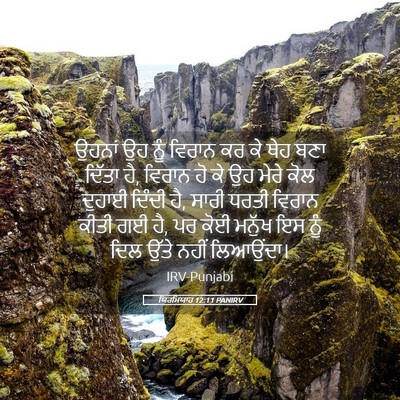 Picture 05 - ਯਿਰਮਿਯਾਹ 12:11 PANIRV - ਉਹਨਾਂ ਉਹ ਨੂੰ ਵਿਰਾਨ - Bible Verse Picture