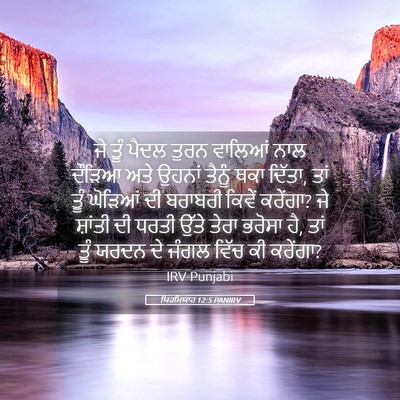 Picture 05 - ਯਿਰਮਿਯਾਹ 12:5 PANIRV - ਜੇ ਤੂੰ ਪੈਦਲ ਤੁਰਨ - Bible Verse Picture