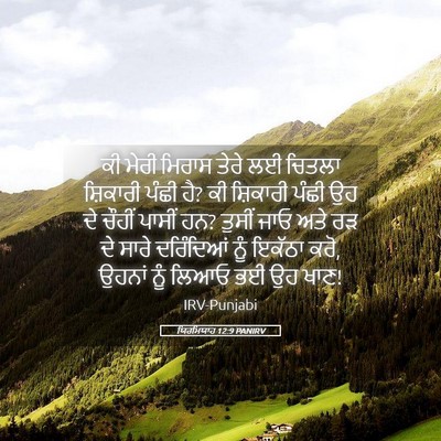 Picture 05 - ਯਿਰਮਿਯਾਹ 12:9 PANIRV - ਕੀ ਮੇਰੀ ਮਿਰਾਸ ਤੇਰੇ - Bible Verse Picture