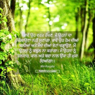 Picture 05 - ਯਿਰਮਿਯਾਹ 14:12 PANIRV - ਭਾਵੇਂ ਉਹ ਵਰਤ ਰੱਖਣ, - Bible Verse Picture
