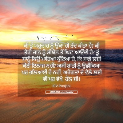 Picture 05 - ਯਿਰਮਿਯਾਹ 14:19 PANIRV - ਕੀ ਤੂੰ ਯਹੂਦਾਹ ਨੂੰ - Bible Verse Picture