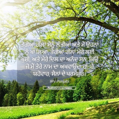Picture 05 - ਯਿਰਮਿਯਾਹ 15:16 PANIRV - ਤੇਰੀਆਂ ਗੱਲਾਂ - Bible Verse Picture