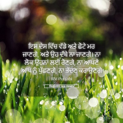 Picture 05 - ਯਿਰਮਿਯਾਹ 16:6 PANIRV - ਇਸ ਦੇਸ ਵਿੱਚ ਵੱਡੇ - Bible Verse Picture