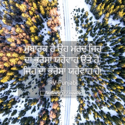 Picture 05 - ਯਿਰਮਿਯਾਹ 17:7 PANIRV - ਮੁਬਾਰਕ ਹੈ ਉਹ ਮਰਦ - Bible Verse Picture