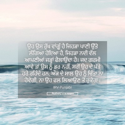 Picture 05 - ਯਿਰਮਿਯਾਹ 17:8 PANIRV - ਉਹ ਉਸ ਰੁੱਖ ਵਾਂਗੂੰ - Bible Verse Picture