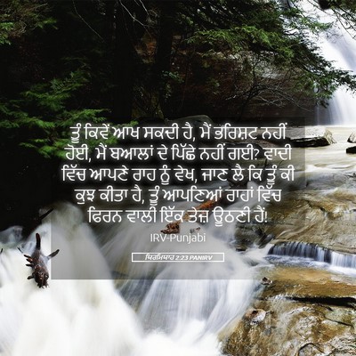 Picture 05 - ਯਿਰਮਿਯਾਹ 2:23 PANIRV - ਤੂੰ ਕਿਵੇਂ ਆਖ ਸਕਦੀ - Bible Verse Picture