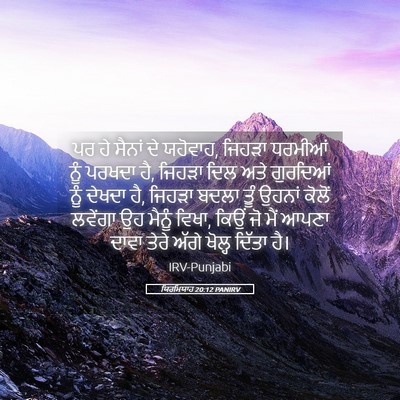 Picture 05 - ਯਿਰਮਿਯਾਹ 20:12 PANIRV - ਪਰ ਹੇ ਸੈਨਾਂ ਦੇ - Bible Verse Picture