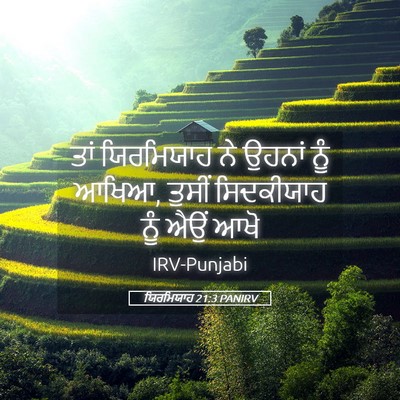 Picture 05 - ਯਿਰਮਿਯਾਹ 21:3 PANIRV - ਤਾਂ ਯਿਰਮਿਯਾਹ ਨੇ - Bible Verse Picture