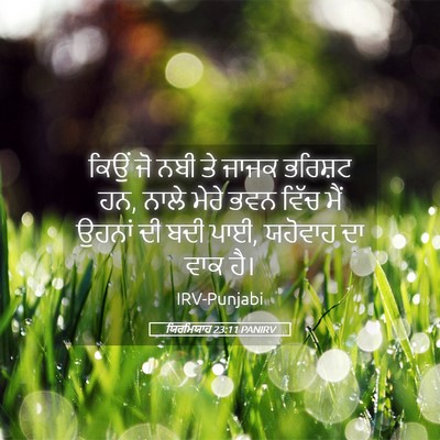 Picture 05 - ਯਿਰਮਿਯਾਹ 23:11 PANIRV - ਕਿਉਂ ਜੋ ਨਬੀ ਤੇ ਜਾਜਕ - Bible Verse Picture