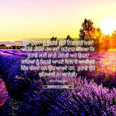 Picture 05 - ਯਿਰਮਿਯਾਹ 23:17 PANIRV - ਉਹ ਉਹਨਾਂ ਨੂੰ ਜਿਹੜੇ - Bible Verse Picture