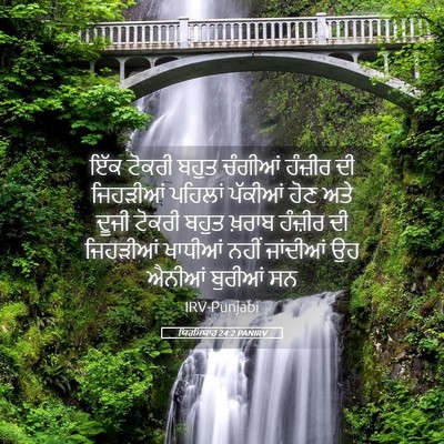 Picture 05 - ਯਿਰਮਿਯਾਹ 24:2 PANIRV - ਇੱਕ ਟੋਕਰੀ ਬਹੁਤ - Bible Verse Picture
