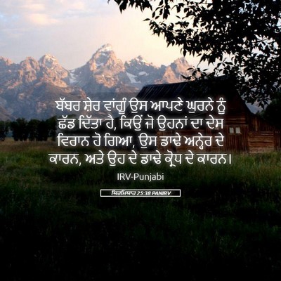 Picture 05 - ਯਿਰਮਿਯਾਹ 25:38 PANIRV - ਬੱਬਰ ਸ਼ੇਰ ਵਾਂਗੂੰ - Bible Verse Picture