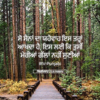 Picture 05 - ਯਿਰਮਿਯਾਹ 25:8 PANIRV - ਸੋ ਸੈਨਾਂ ਦਾ ਯਹੋਵਾਹ - Bible Verse Picture