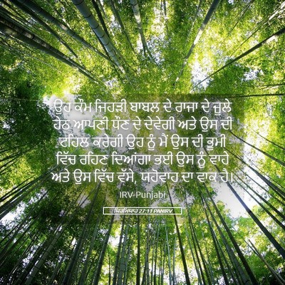 Picture 05 - ਯਿਰਮਿਯਾਹ 27:11 PANIRV - ਉਹ ਕੌਮ ਜਿਹੜੀ ਬਾਬਲ - Bible Verse Picture