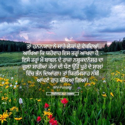 Picture 05 - ਯਿਰਮਿਯਾਹ 28:11 PANIRV - ਤਾਂ ਹਨਨਯਾਹ ਨੇ ਸਾਰੇ - Bible Verse Picture