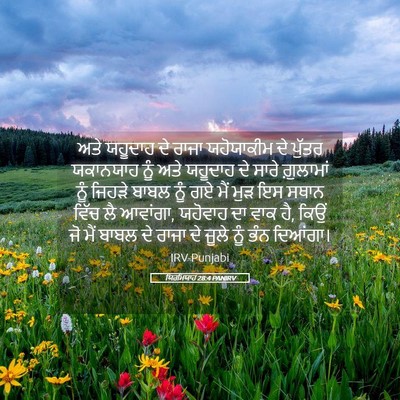 Picture 05 - ਯਿਰਮਿਯਾਹ 28:4 PANIRV - ਅਤੇ ਯਹੂਦਾਹ ਦੇ ਰਾਜਾ - Bible Verse Picture