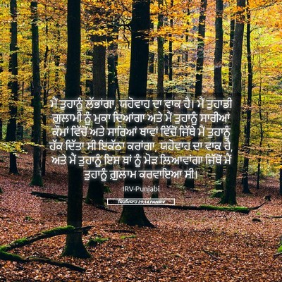 Picture 05 - ਯਿਰਮਿਯਾਹ 29:14 PANIRV - ਮੈਂ ਤੁਹਾਨੂੰ - Bible Verse Picture
