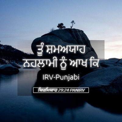 Picture 05 - ਯਿਰਮਿਯਾਹ 29:24 PANIRV - ਤੂੰ ਸ਼ਮਅਯਾਹ - Bible Verse Picture