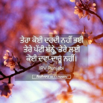 Picture 05 - ਯਿਰਮਿਯਾਹ 30:13 PANIRV - ਤੇਰਾ ਕੋਈ ਦਰਦੀ ਨਹੀਂ - Bible Verse Picture