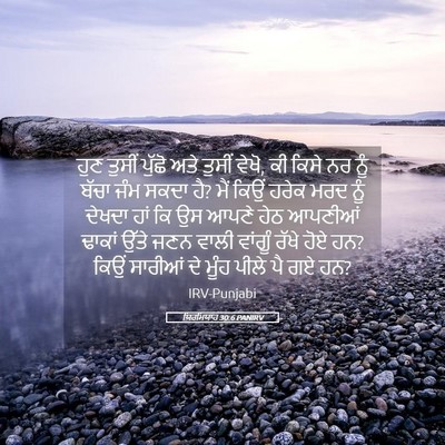 Picture 05 - ਯਿਰਮਿਯਾਹ 30:6 PANIRV - ਹੁਣ ਤੁਸੀਂ ਪੁੱਛੋ - Bible Verse Picture