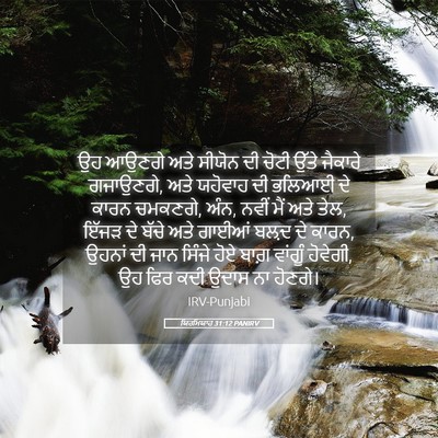 Picture 05 - ਯਿਰਮਿਯਾਹ 31:12 PANIRV - ਉਹ ਆਉਣਗੇ ਅਤੇ ਸੀਯੋਨ - Bible Verse Picture