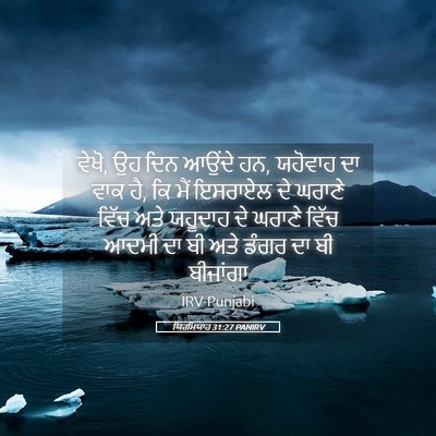 Picture 05 - ਯਿਰਮਿਯਾਹ 31:27 PANIRV - ਵੇਖੋ, ਉਹ ਦਿਨ ਆਉਂਦੇ - Bible Verse Picture