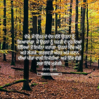 Picture 05 - ਯਿਰਮਿਯਾਹ 31:8 PANIRV - ਵੇਖੋ, ਮੈਂ ਉੱਤਰ ਦੇ - Bible Verse Picture
