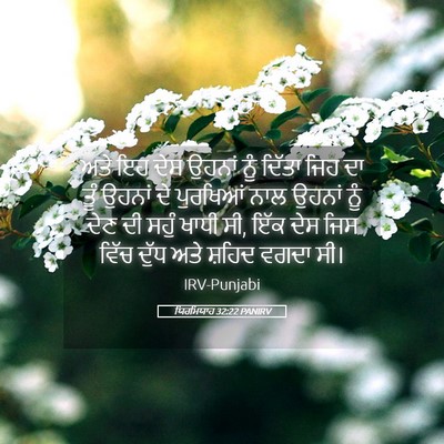 Picture 05 - ਯਿਰਮਿਯਾਹ 32:22 PANIRV - ਅਤੇ ਇਹ ਦੇਸ ਉਹਨਾਂ - Bible Verse Picture