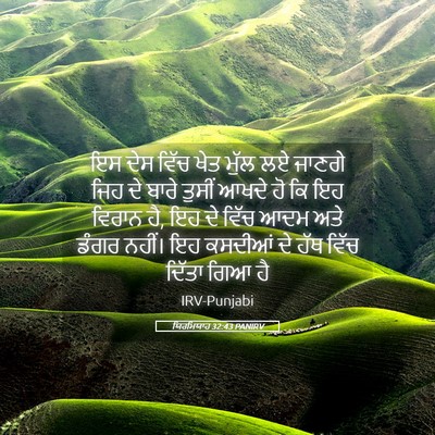 Picture 05 - ਯਿਰਮਿਯਾਹ 32:43 PANIRV - ਇਸ ਦੇਸ ਵਿੱਚ ਖੇਤ - Bible Verse Picture