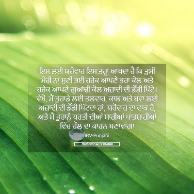 Picture 05 - ਯਿਰਮਿਯਾਹ 34:17 PANIRV - ਇਸ ਲਈ ਯਹੋਵਾਹ ਇਸ - Bible Verse Picture