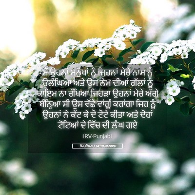 Picture 05 - ਯਿਰਮਿਯਾਹ 34:18 PANIRV - ਮੈਂ ਉਹਨਾਂ ਮਨੁੱਖਾਂ - Bible Verse Picture