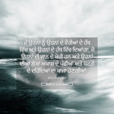 Picture 05 - ਯਿਰਮਿਯਾਹ 34:20 PANIRV - ਮੈਂ ਉਹਨਾਂ ਨੂੰ - Bible Verse Picture