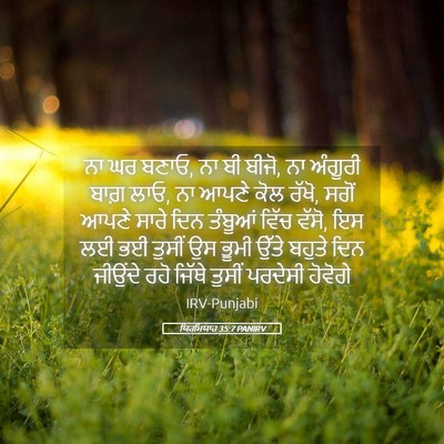 Picture 05 - ਯਿਰਮਿਯਾਹ 35:7 PANIRV - ਨਾ ਘਰ ਬਣਾਓ, ਨਾ ਬੀ - Bible Verse Picture