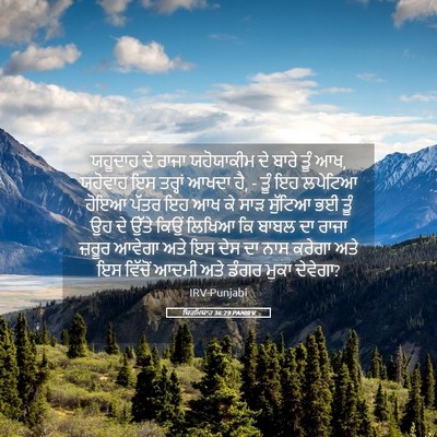 Picture 05 - ਯਿਰਮਿਯਾਹ 36:29 PANIRV - ਯਹੂਦਾਹ ਦੇ ਰਾਜਾ - Bible Verse Picture