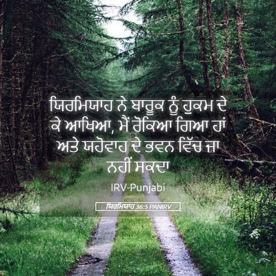 Picture 05 - ਯਿਰਮਿਯਾਹ 36:5 PANIRV - ਯਿਰਮਿਯਾਹ ਨੇ ਬਾਰੂਕ - Bible Verse Picture
