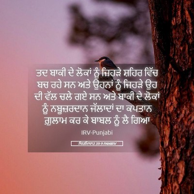 Picture 05 - ਯਿਰਮਿਯਾਹ 39:9 PANIRV - ਤਦ ਬਾਕੀ ਦੇ ਲੋਕਾਂ - Bible Verse Picture