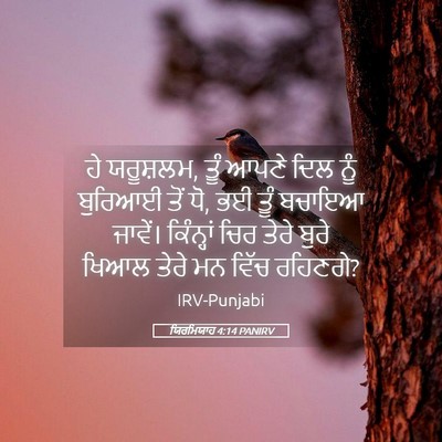 Picture 05 - ਯਿਰਮਿਯਾਹ 4:14 PANIRV - ਹੇ ਯਰੂਸ਼ਲਮ, ਤੂੰ - Bible Verse Picture