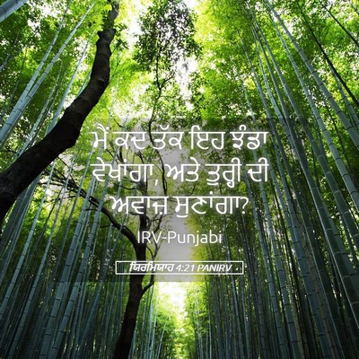 Picture 05 - ਯਿਰਮਿਯਾਹ 4:21 PANIRV - ਮੈਂ ਕਦ ਤੱਕ ਇਹ ਝੰਡਾ - Bible Verse Picture